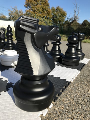 Jeux de soci?�t?� g?�ants, dames et ?�checs en grand.