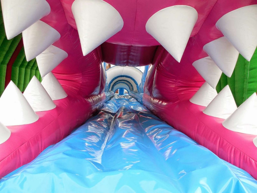 Ventre glisse gonflable à acheter, modèle ventriglisse requin.