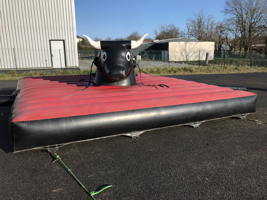 Mini rodeo gonflable pas cher occasion