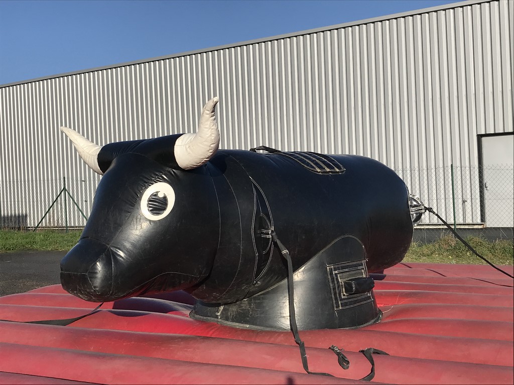 Mini rodeo gonflable pas cher avec taureau