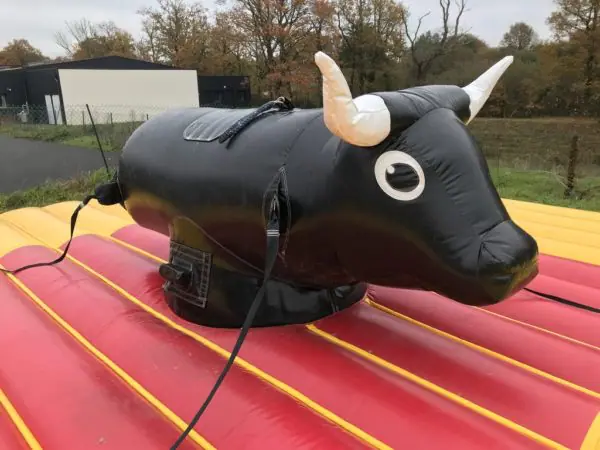Rodéo mécanique ou taureau gonflable ?