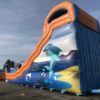 toboggan gonflable aquatique dauphins