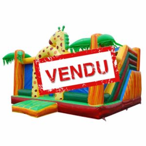 Girafun parc gonflable vendu