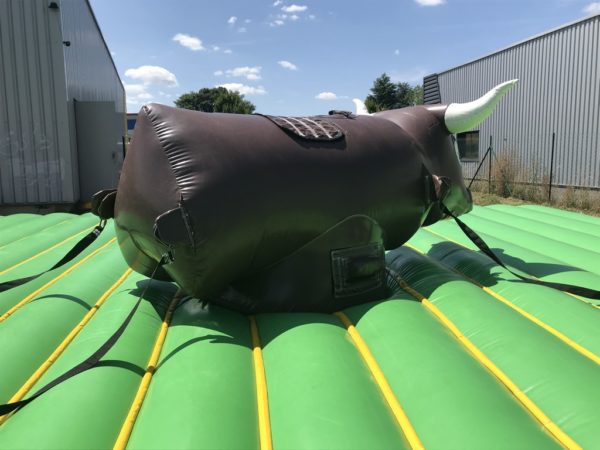 Rodéo gonflable pas cher d'occasion