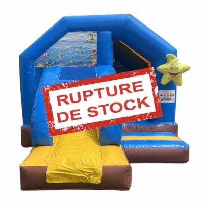 Château gonflable toboggan océan vendu