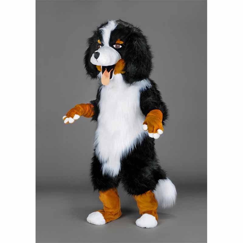Mascotte chien Bouvier Bernois, un déguisement chien qui a de l'allure.