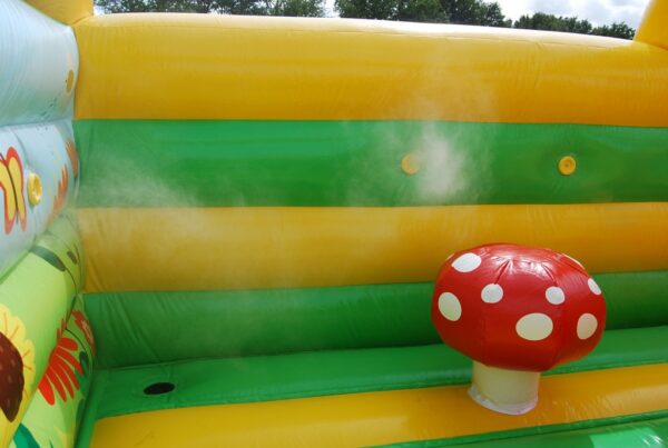 Brumisation gonflable escargot aquatique.