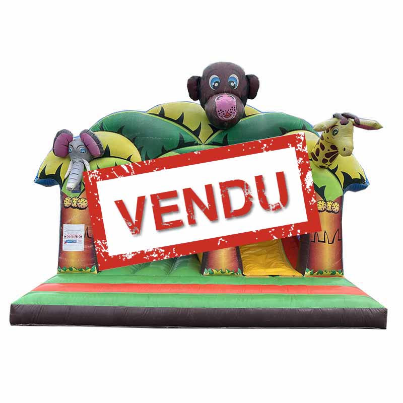 Château toboggan gonflable zoo vendu