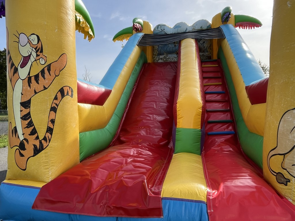 Toboggan safari d'occasion pas cher