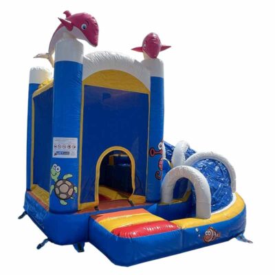 Petit jeu gonflable dolfinos