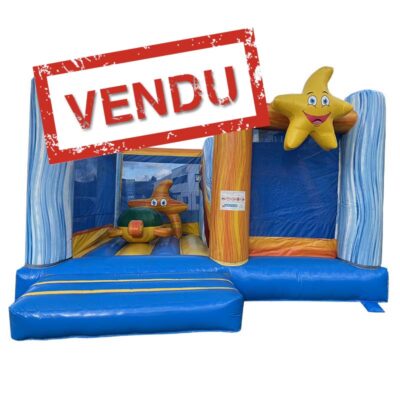 Château gonflable professionnel occasion vendu