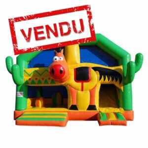 Combo gonflable Jojo jumper vendu