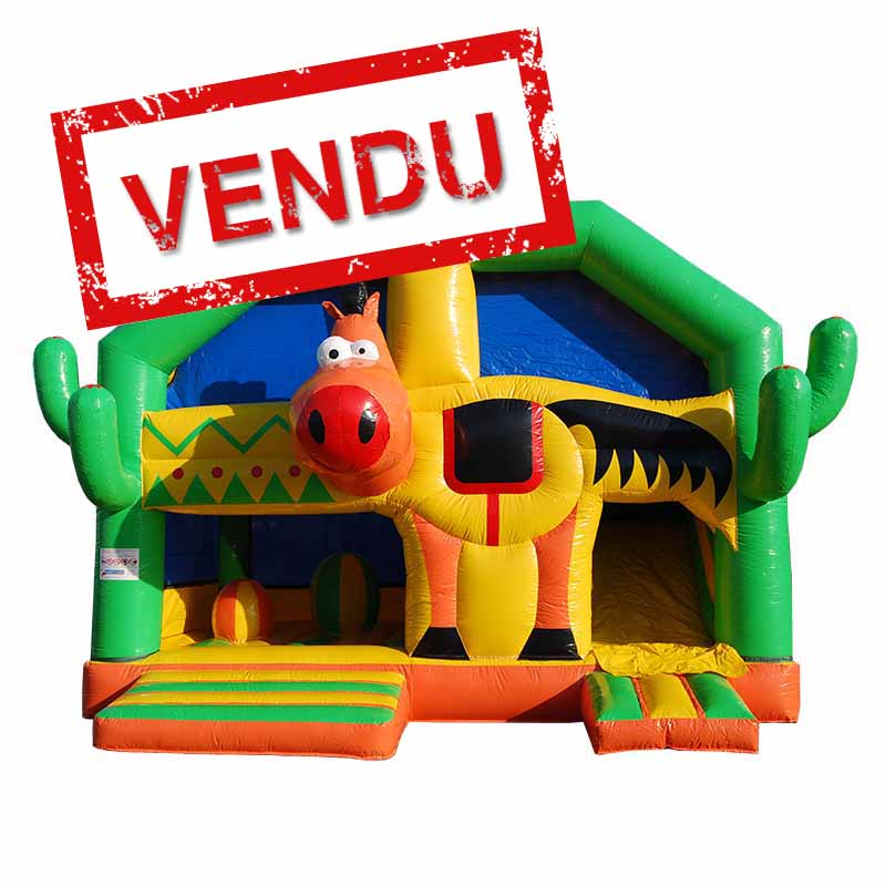 Combo gonflable Jojo jumper vendu