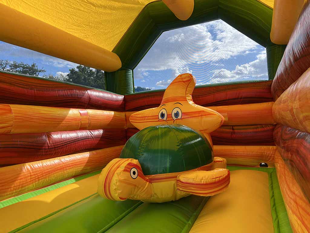 Château gonflable occasion tortue ludique